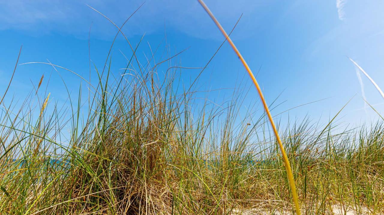 Strandurlaub Ruegen "Luett Oskar" Binz Bagian luar foto